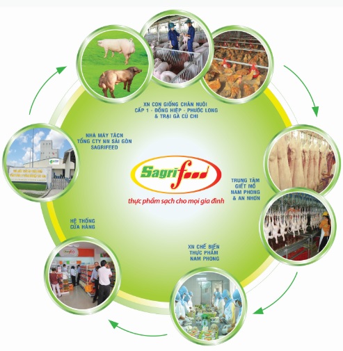 Phân biệt thịt sạch và thịt “ăn chất cấm”