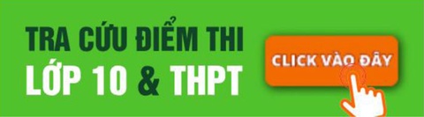 Chiều nay, TP.HCM sẽ công bố điểm thi lớp 10 - ảnh 1