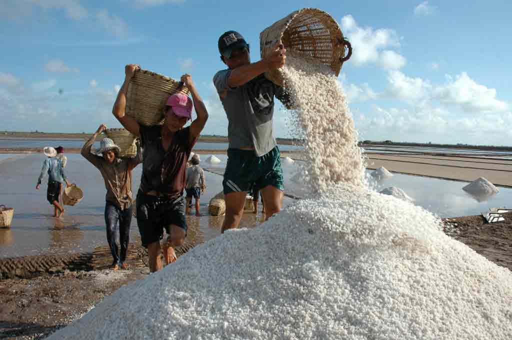 Muối tồn kho giảm do mưa nhiều