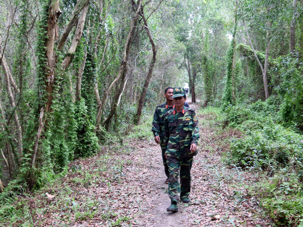 Bộ đội giữ rừng