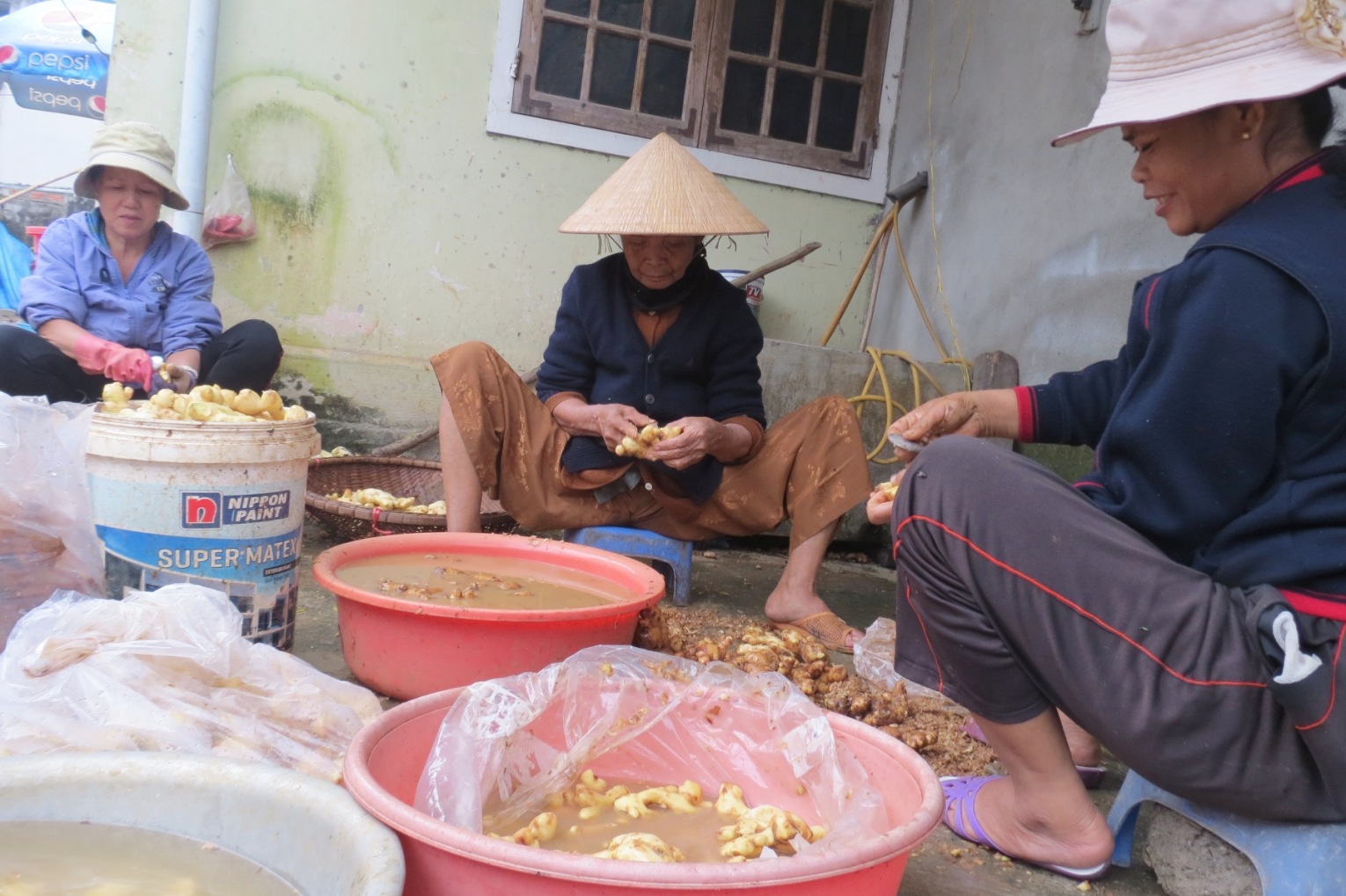 Không khí Tết rộn ràng trong làng mứt gừng Kim Long - ảnh 2