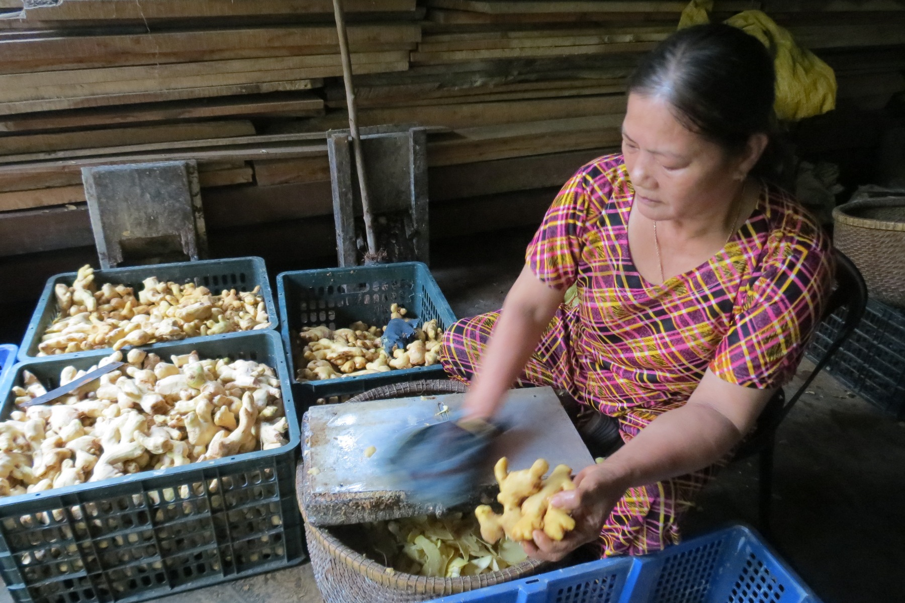 Không khí Tết rộn ràng trong làng mứt gừng Kim Long - ảnh 4